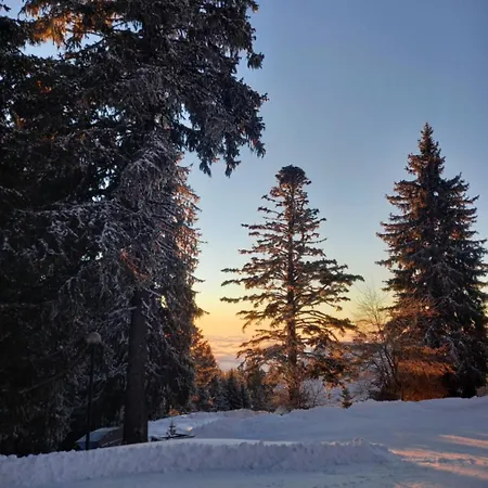 Peaceful Rogla * Zrece