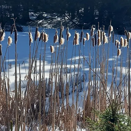 Appartement Peaceful Rogla Zreče