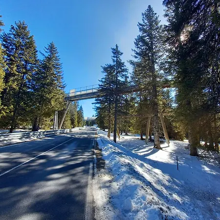 Peaceful Rogla *