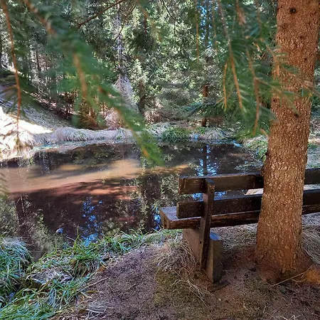 Peaceful Rogla * Zrece