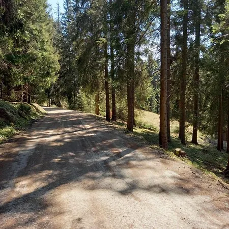 Peaceful Rogla Apartma
