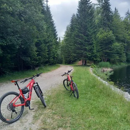 Peaceful Rogla *