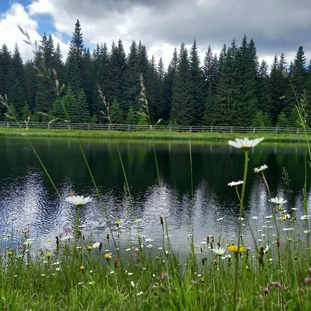 Peaceful Rogla *