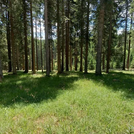 Peaceful Rogla Zrece