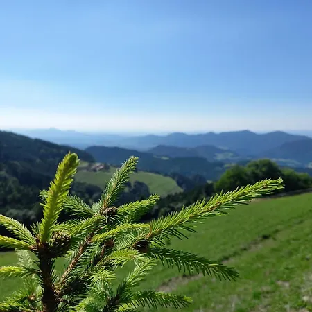 Peaceful Rogla *