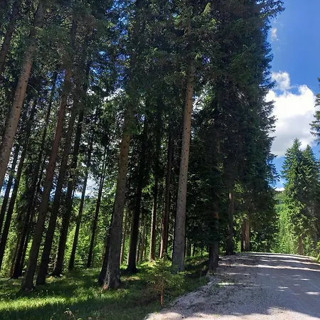 Apartma Peaceful Rogla Zrece