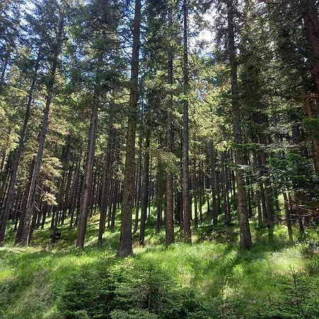 Apartma Peaceful Rogla