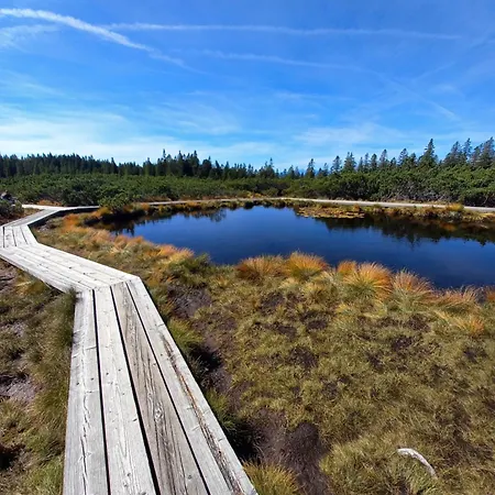 Peaceful Rogla Appartement *