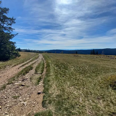 Peaceful Rogla Zrece