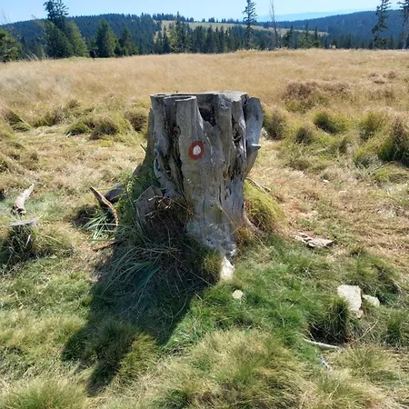 Peaceful Rogla * Zrece