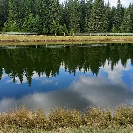 Peaceful Rogla *