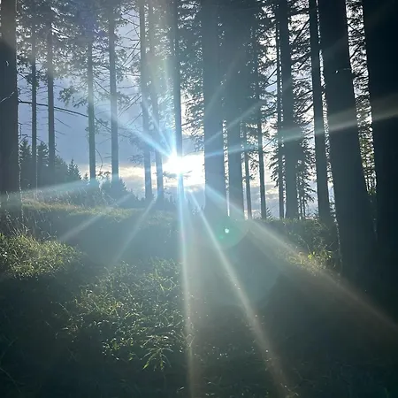 Peaceful Rogla Apartmán *