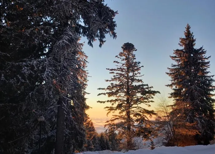 Peaceful Rogla * Zreče