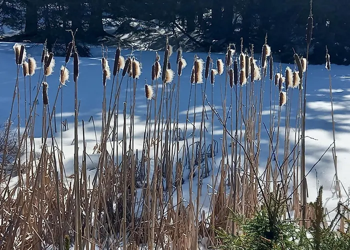 דירה Peaceful Rogla Zreče