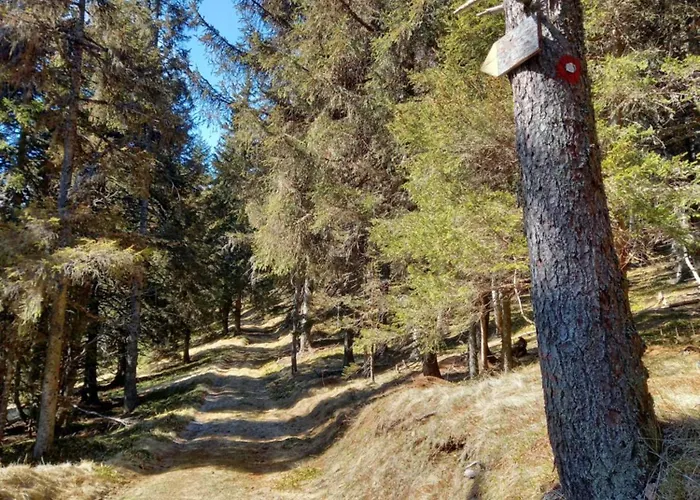 Peaceful Rogla דירה