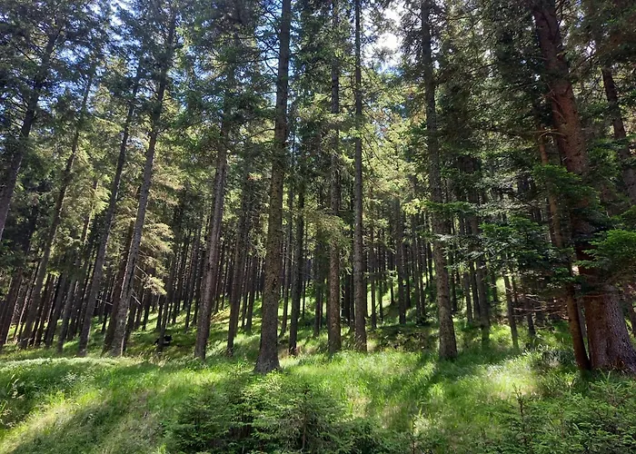 דירה Peaceful Rogla