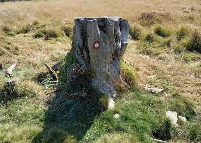 Peaceful Rogla * Zreče